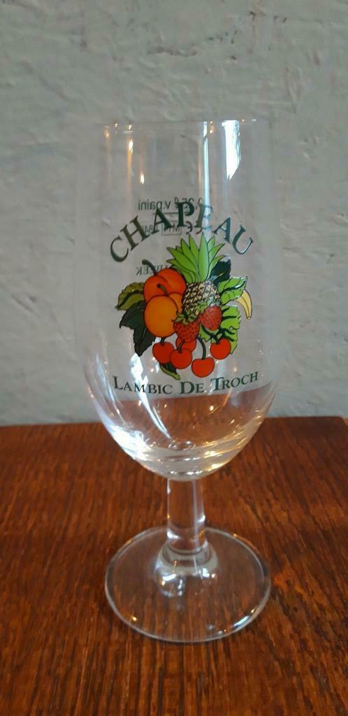 De Troch Chapeau bierglazen, Ophalen of Verzenden, Zo goed als nieuw