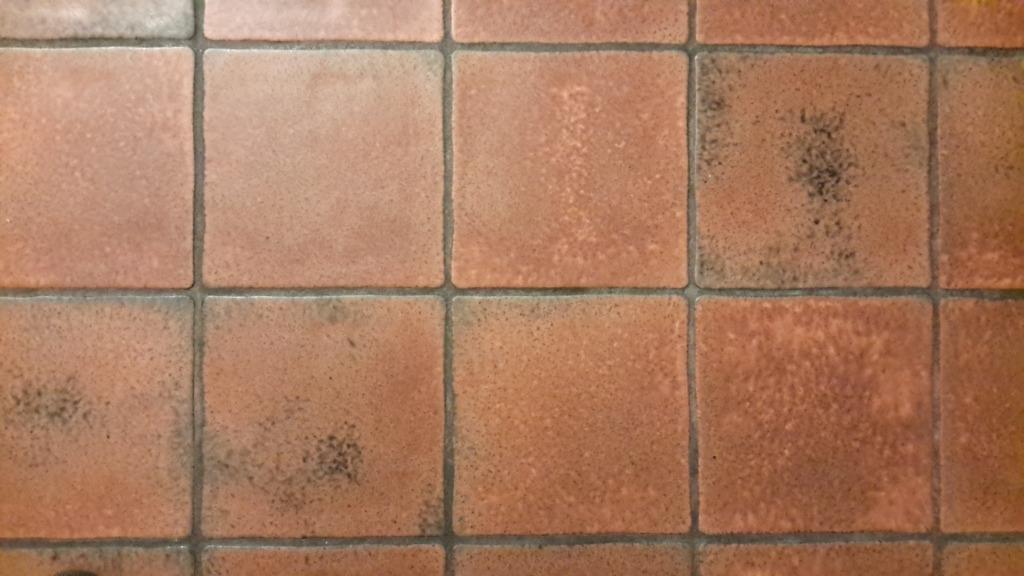 Recherche Carrelage 20 X 20 Grès Campagnard n°83. Année 1982, Enlèvement ou Envoi