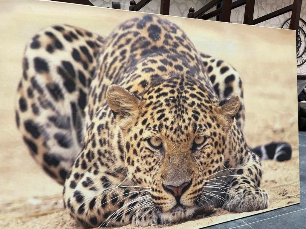 Canvas met luipaard, Huis en Inrichting, Ophalen