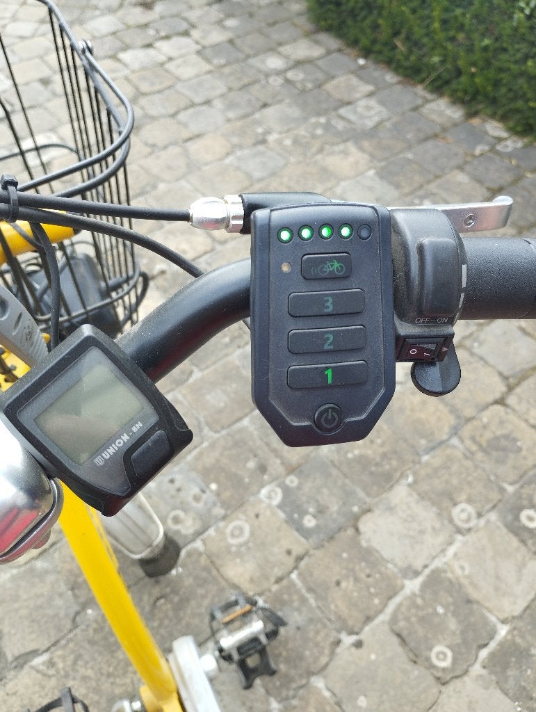 Electrische driewieler fiets, Enlèvement, Comme neuf, Frein à disque, Van Raam