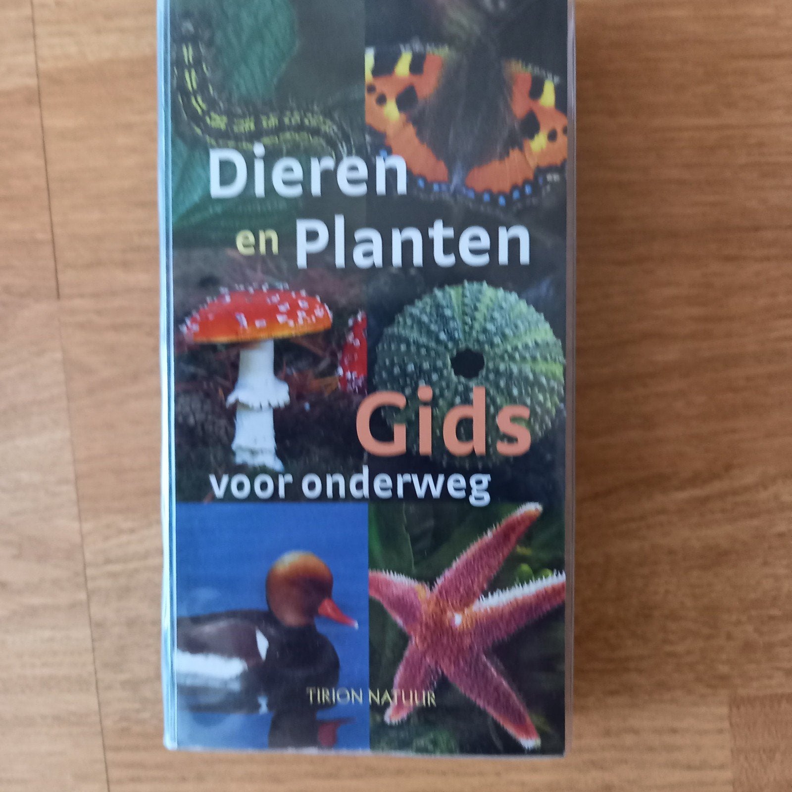 DIEREN EN PLANTENGIDS VOOR ONDERWEG, Boeken, Ophalen of Verzenden, Wilhelm Eisenreich; Alfred Handel; Ute E. Zimmer