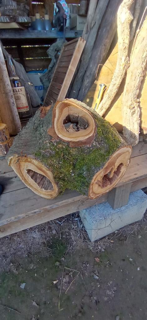 Boomstronken artisanaal deco , kerselaar, Ophalen