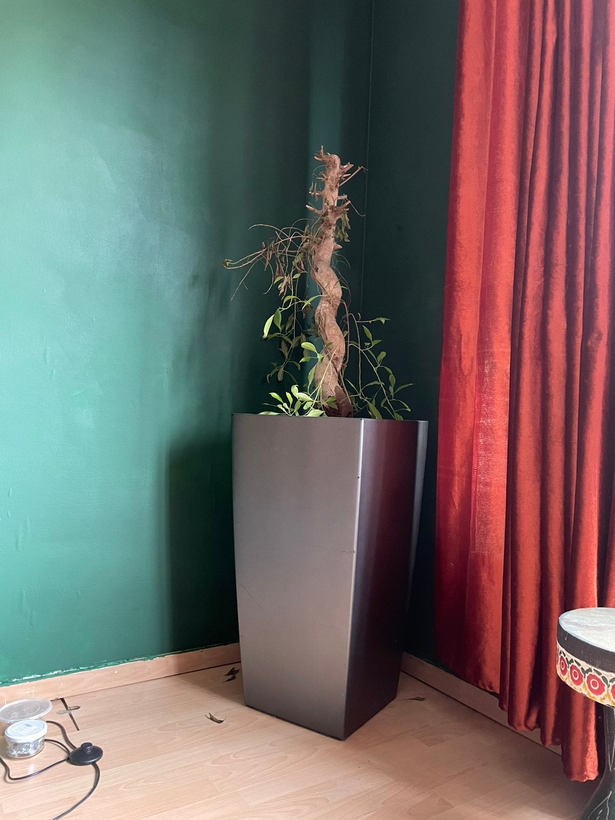 Pot geant pour arbre ou plante, Jardin & Terrasse, Enlèvement, Comme neuf, Intérieur