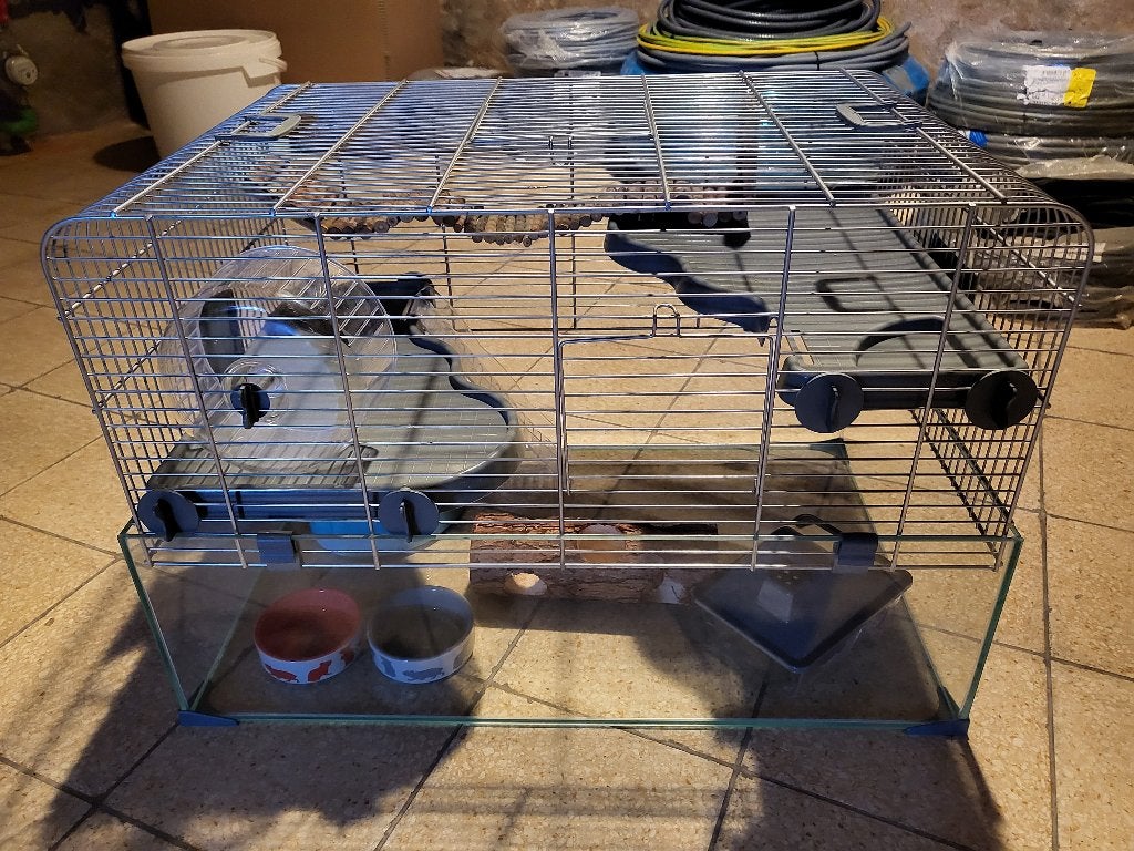 Cage en verre hamster, Moins de 60 cm, Cage, Comme neuf, Hamster