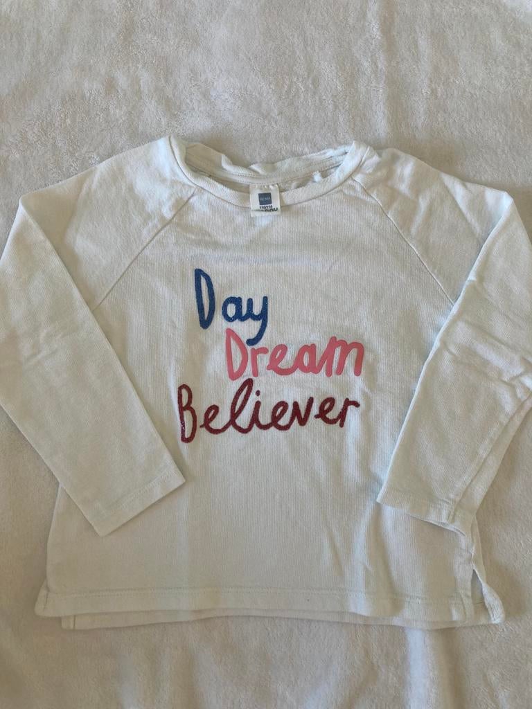 T-shirt lange mouwen - maat 110/116, Ophalen of Verzenden, Gebruikt, Jongen of Meisje, Shirt of Longsleeve