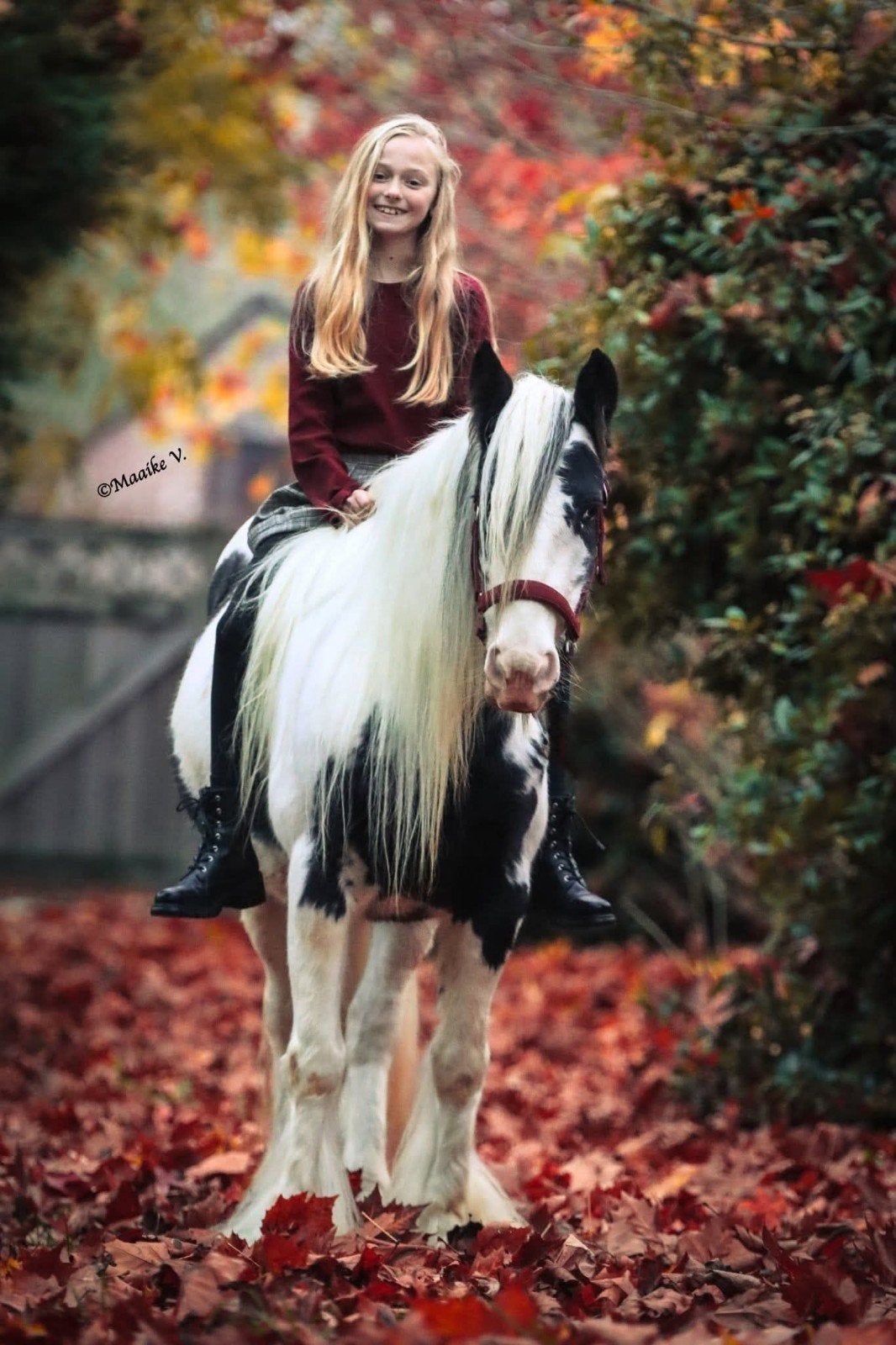 Leuke tinkermerrie C-Pony, Dieren en Toebehoren, Merrie, C pony (1.27m tot 1.37m), Gechipt, 7 tot 10 jaar