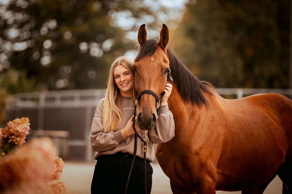 Halve stal - jong paard, Dieren en Toebehoren, Met stamboom, Ruin, Dressuurpaard, 3 tot 6 jaar