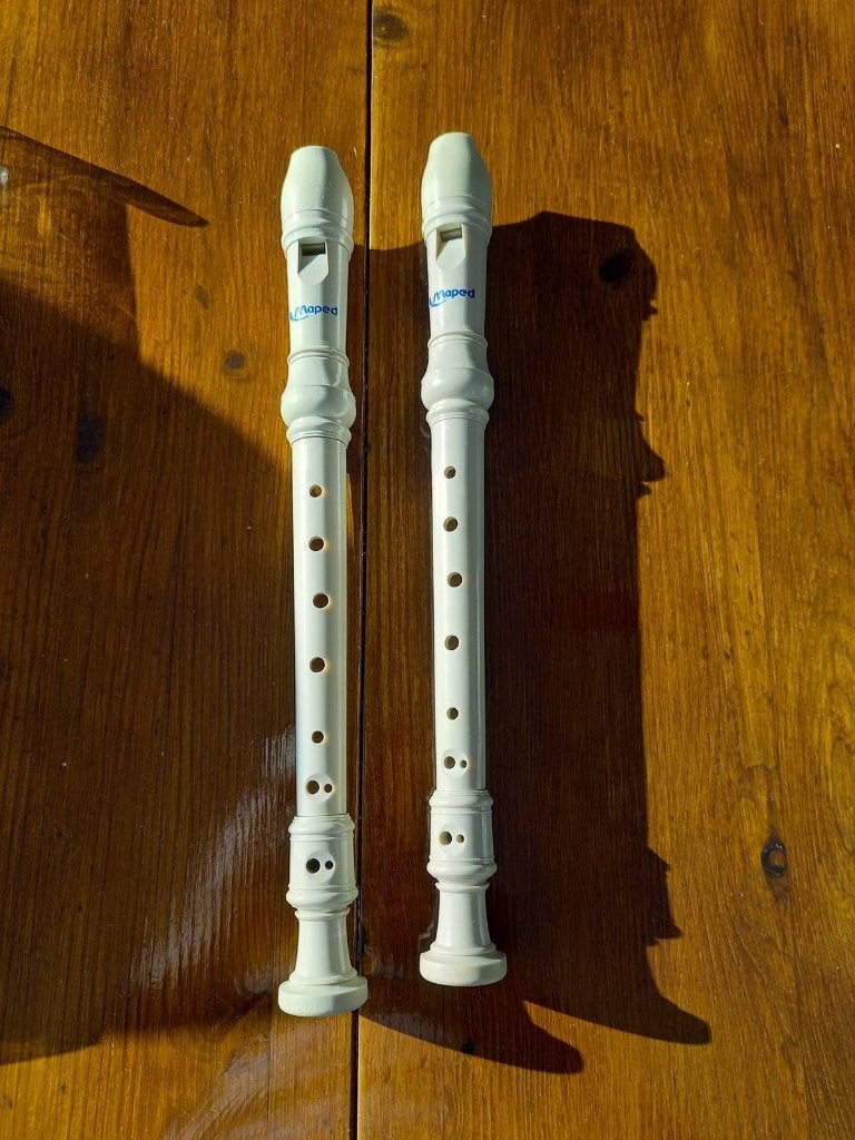 2 blokfluiten - 5 euro per stuk, Muziek en Instrumenten, Ophalen, Gebruikt, Kunststof