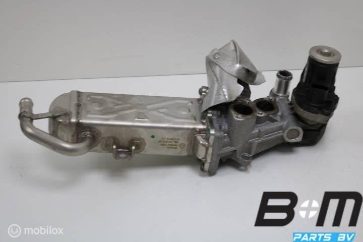 EGR koeler met regelklep VW Golf 6 2.0 TDI CFH, Utilisé