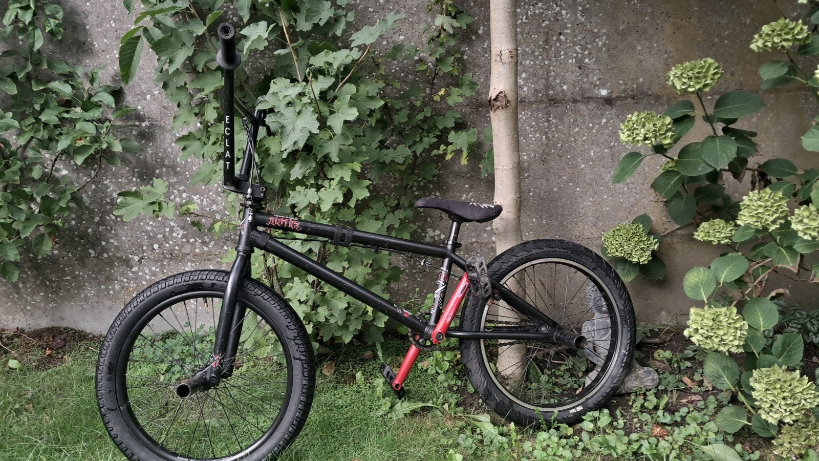 wethepeople justice bmx, Ophalen