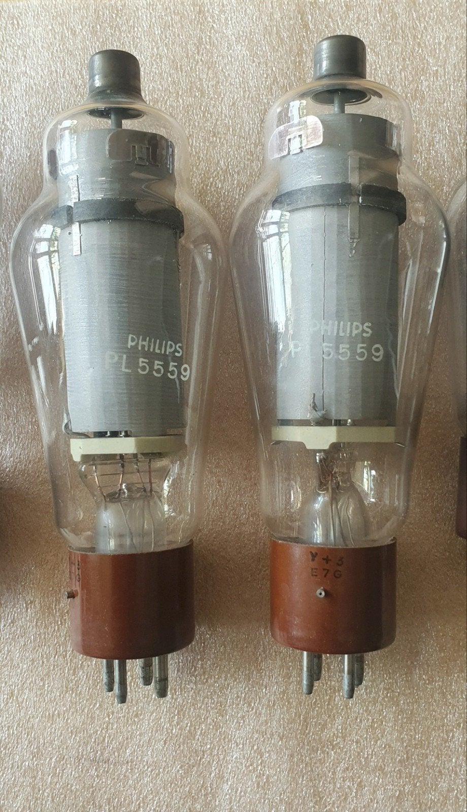 nieuwe buizen Philips 2x PL5559 2x PL5557 1x PL57, Audio, Tv en Foto, Buizenversterker, Ophalen of Verzenden