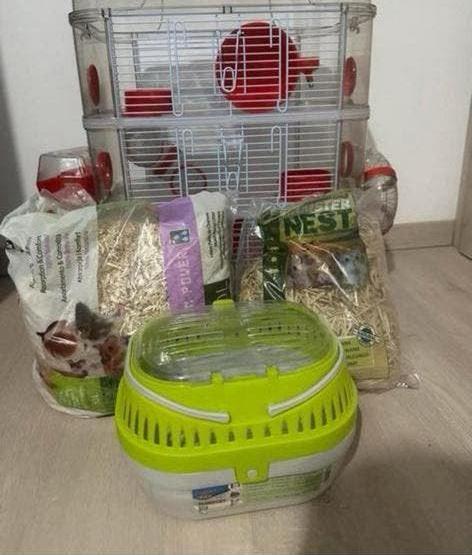 Cage hamster a vendre, Enlèvement, Comme neuf, Cage, Hamster