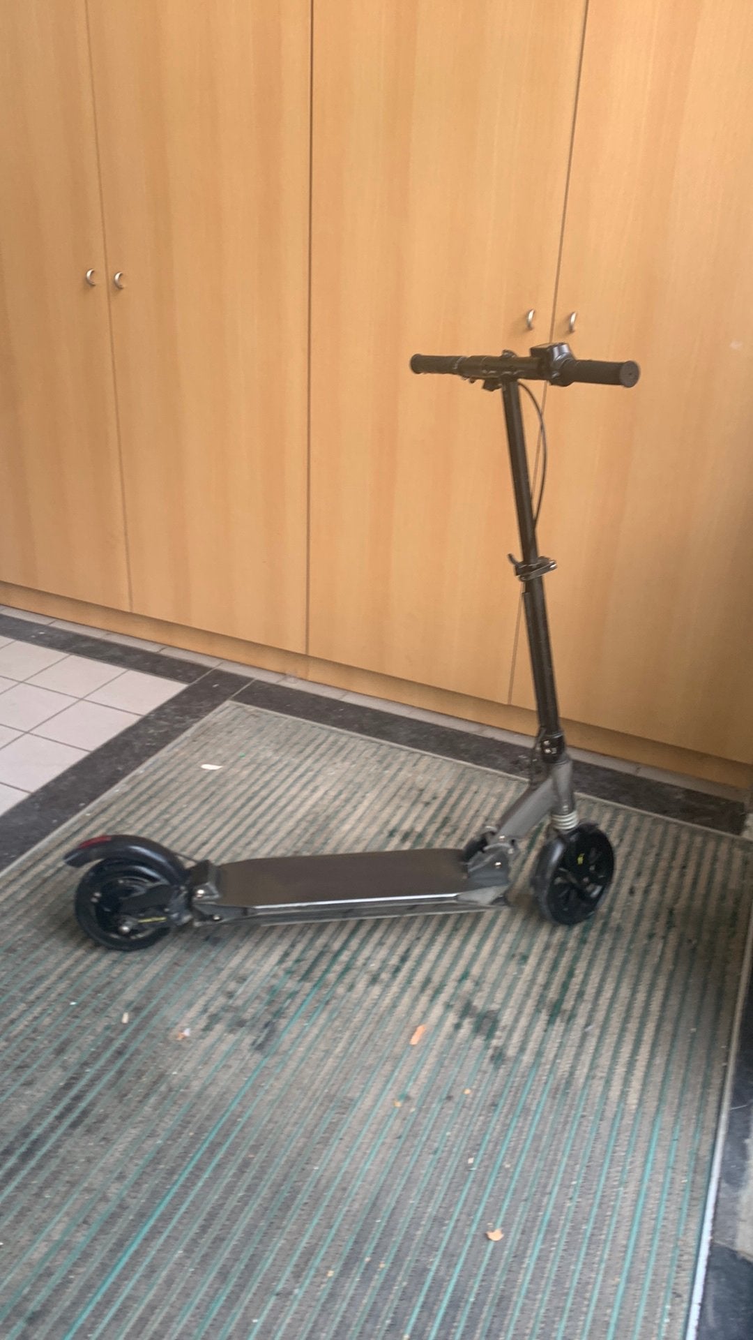 Elektrische step met lader, Fietsen en Brommers, Ophalen, Gebruikt, Elektrische step (E-scooter)