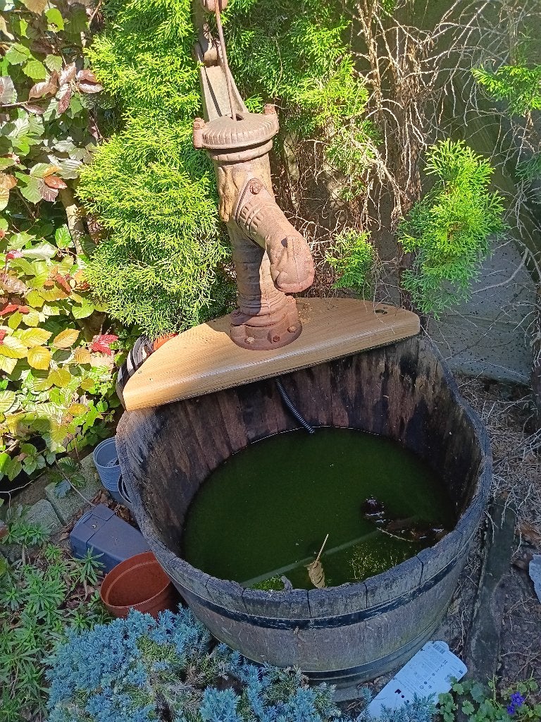 Pompen, maar niet verzuipen, Tuin en Terras, Ophalen, Gebruikt, Gietijzer, Waterornament