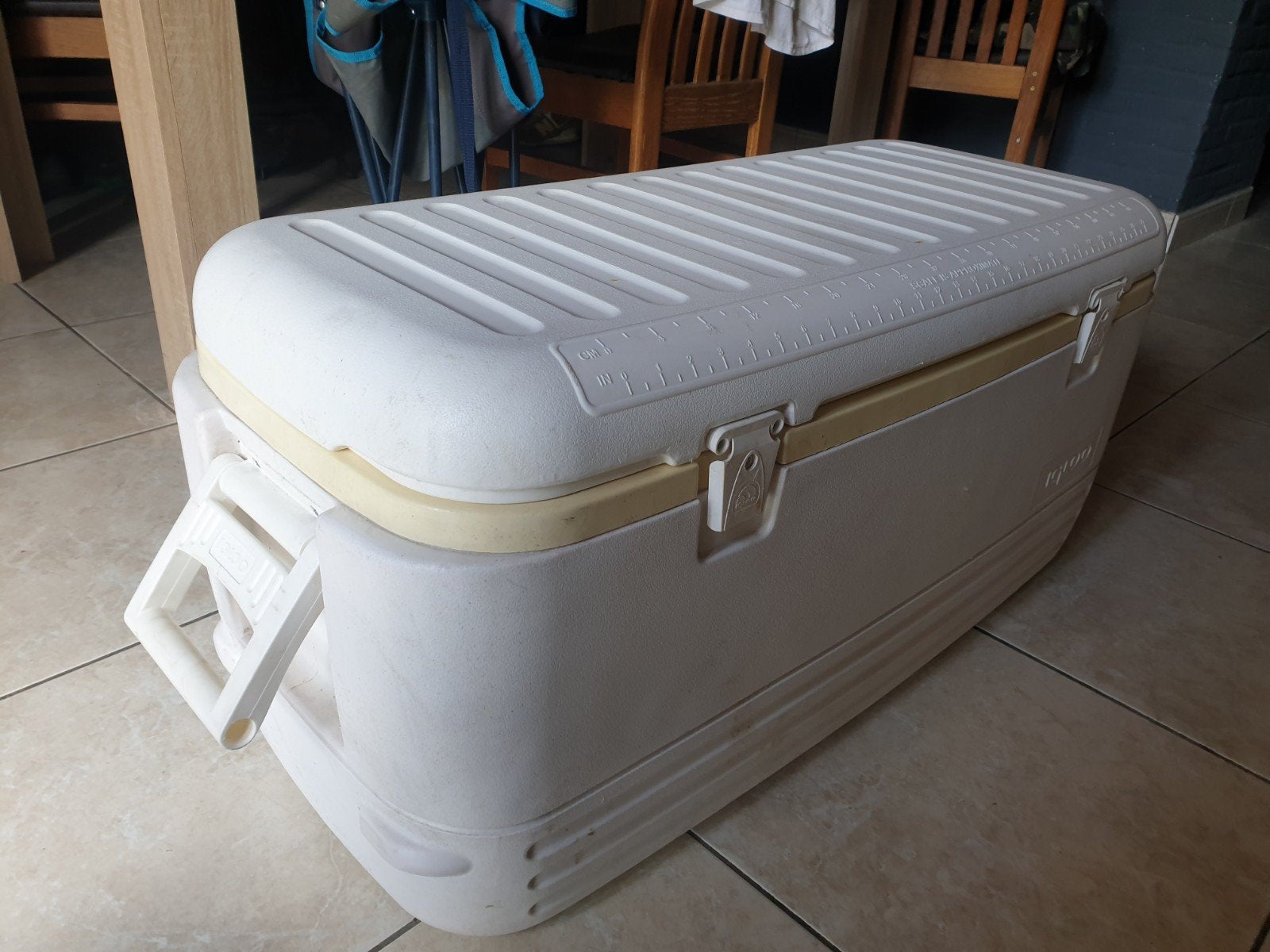 Grote koelbox Igloo, Caravans en Kamperen, Koelboxen, Ophalen, Koelbox