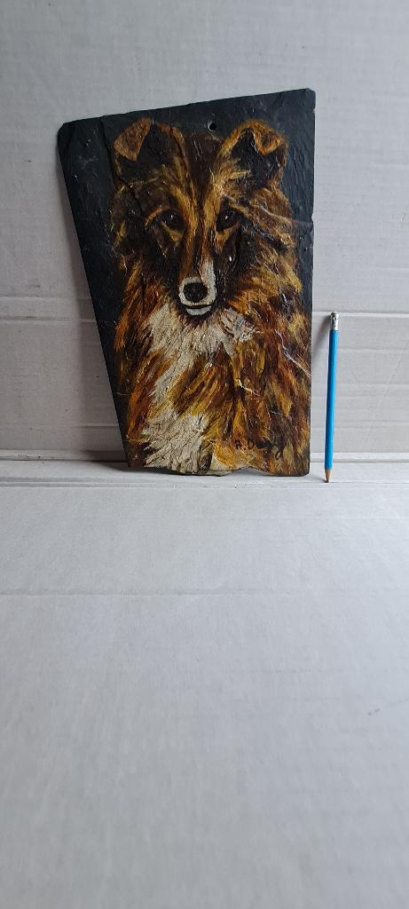 'Sheltie'  olie schildering op natuurlei by R. Darly, Ophalen of Verzenden