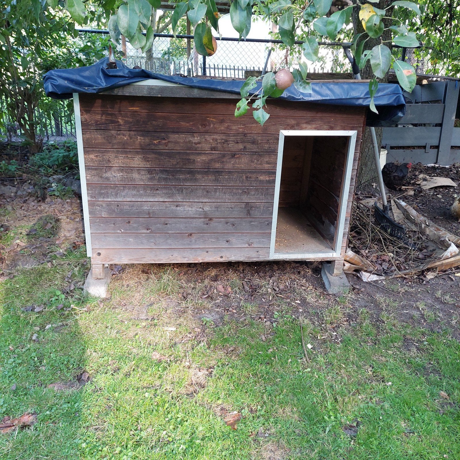 hondehok, Dieren en Toebehoren, Ophalen, Gebruikt, Hondenhok