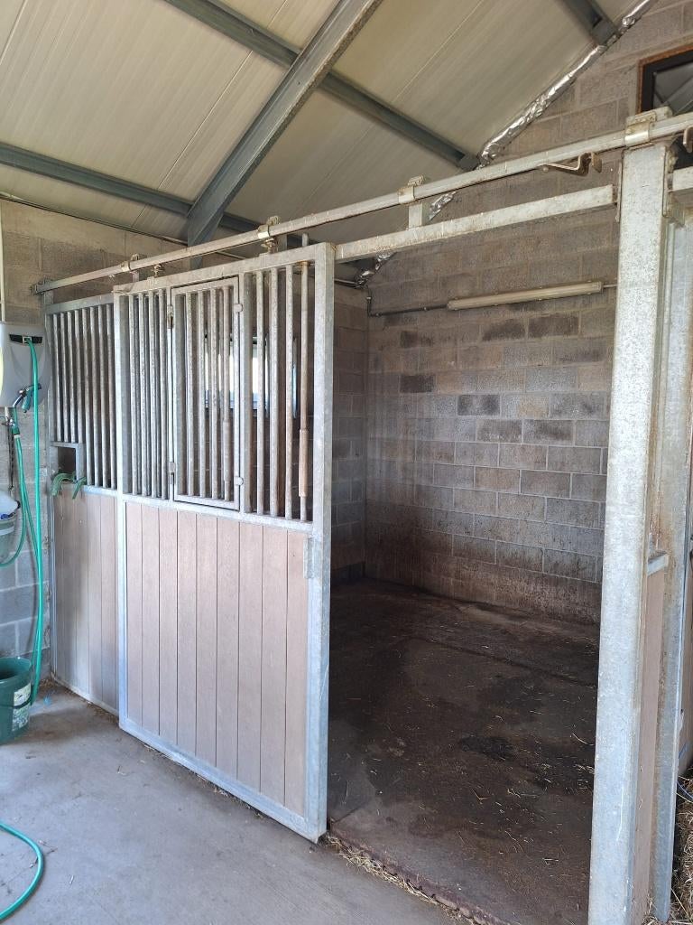 Pensionstal te Galmaarden, Weidegang, 2 of 3 paarden of pony's