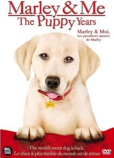 Marley & Me: The Puppy Years (2011) Dvd, Alle leeftijden, Ophalen of Verzenden, Gebruikt