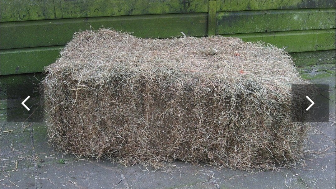 Kleine balen droog hooi, Dieren en Toebehoren