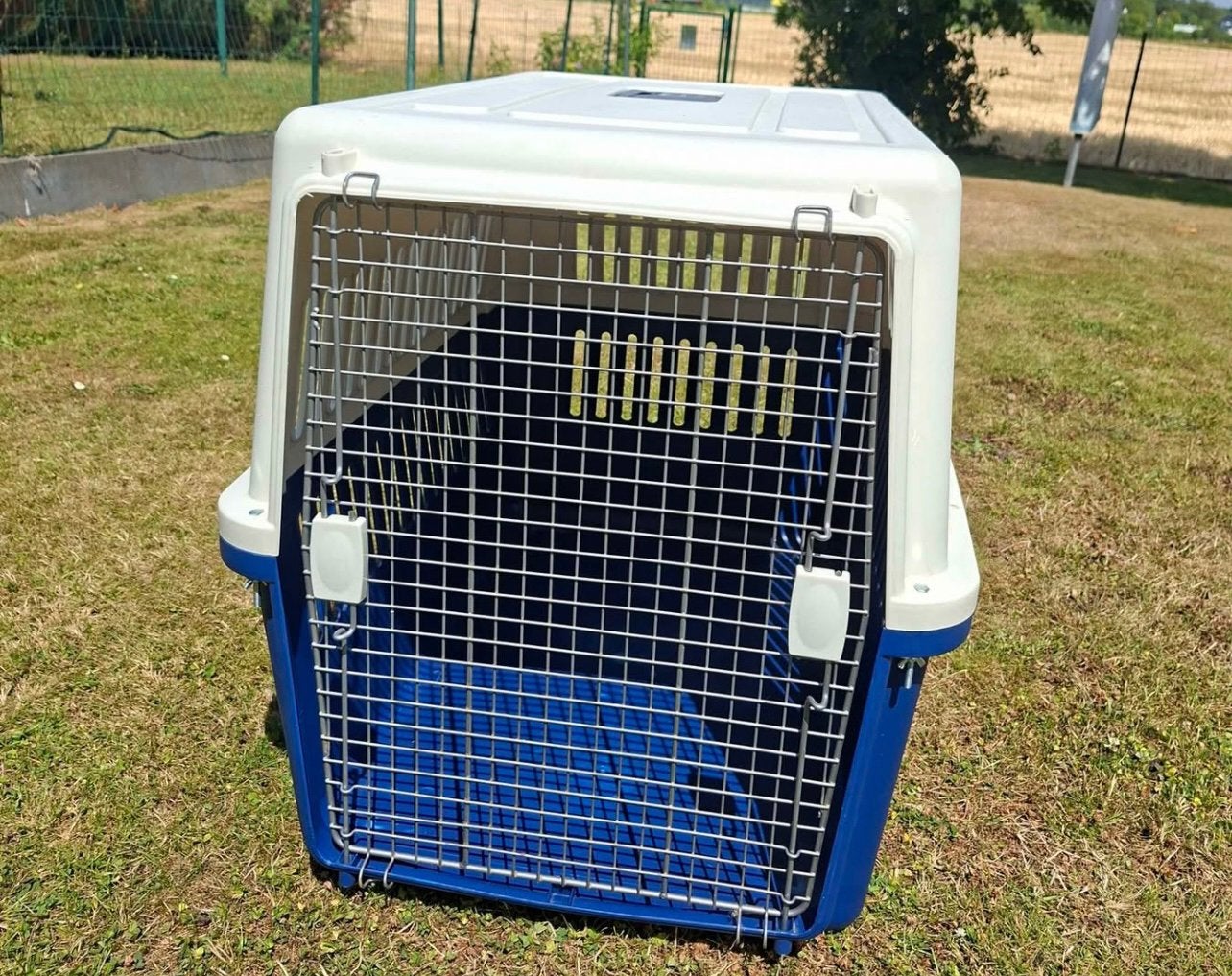 Te koop transportboxe, Enlèvement, Comme neuf