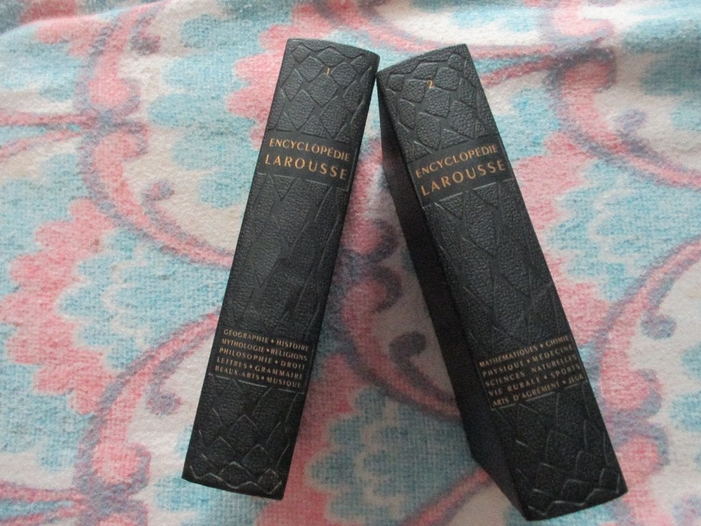 dictionnaire, Frans, Overige uitgevers, Nieuw, Ophalen of Verzenden