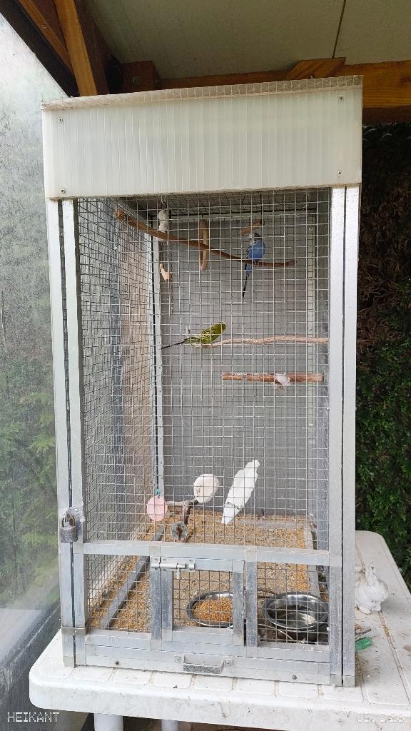 Kleine volière of vogelkooi, H105 x B55 x D72 cm., Enlèvement, Utilisé, Aluminium, Cage à oiseaux