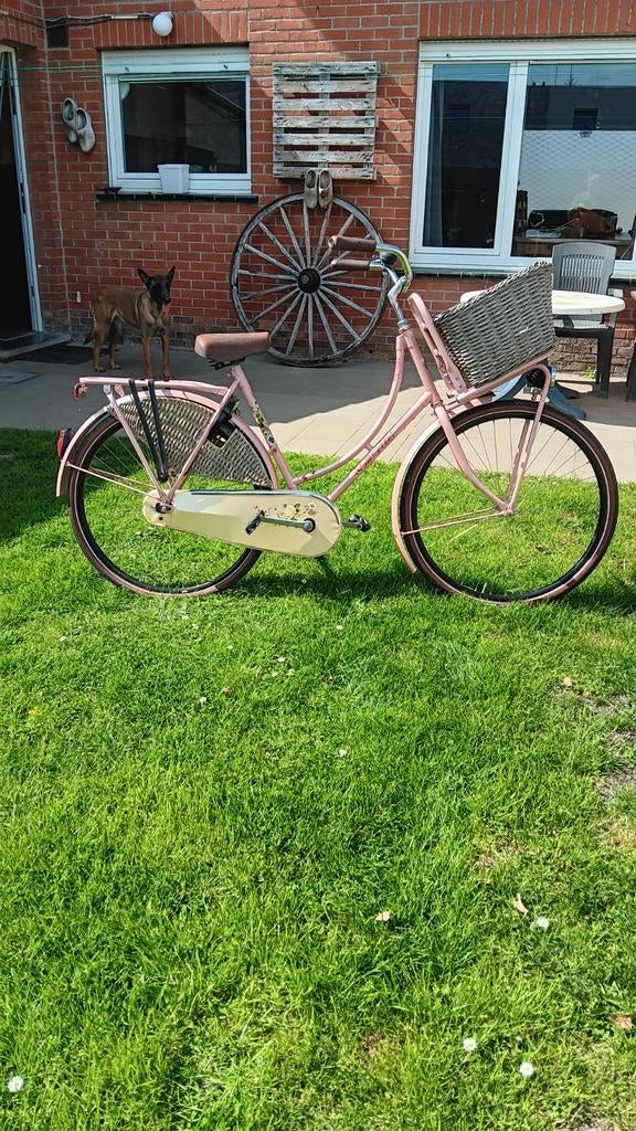 Omafiets of torbedofiets, Fietsen en Brommers, Ophalen, Gebruikt, Terugtraprem