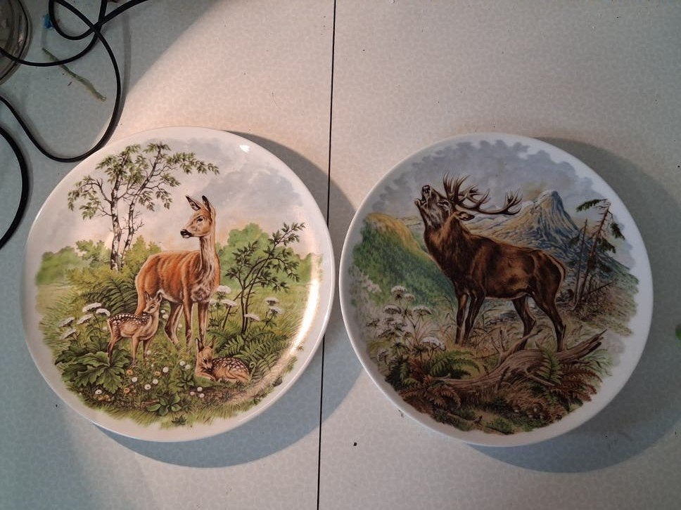 2 decoratieve borden wild,jacht hert ree, Enlèvement ou Envoi