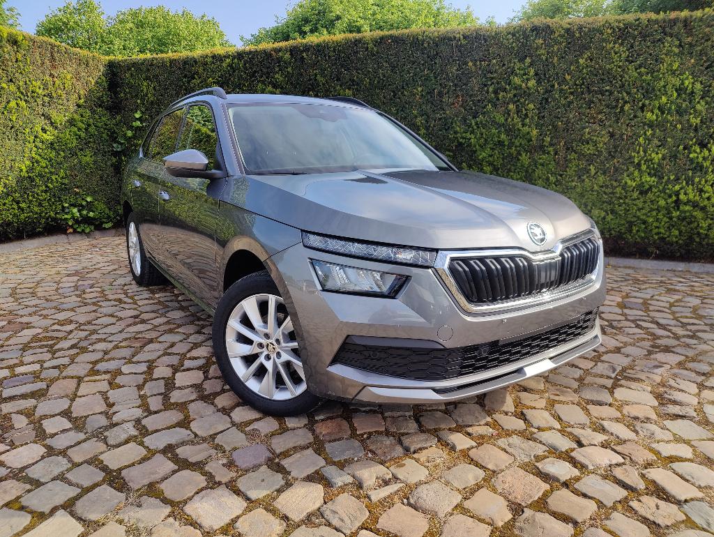 Skoda Kamiq 1.0 TSI Clever DSG, Argent ou Gris, Achat, Entreprise, Carnet d'entretien