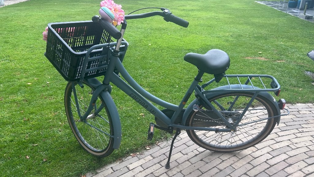 Kinderfiets te koop, Ophalen, Terugtraprem, 24 inch, Versnellingen