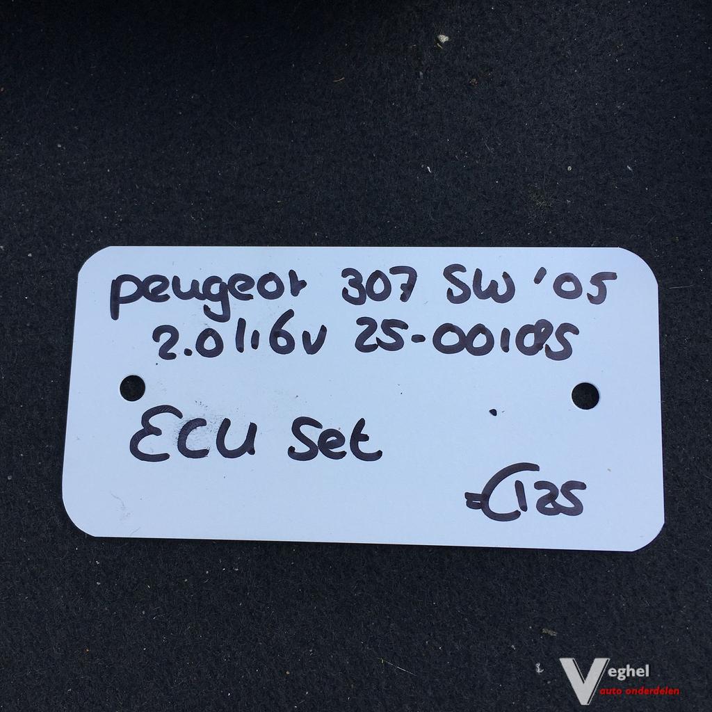 Peugeot 307 Sw 2.0 16v 2005 2500185  ECU Set, -, Utilisé, -, -