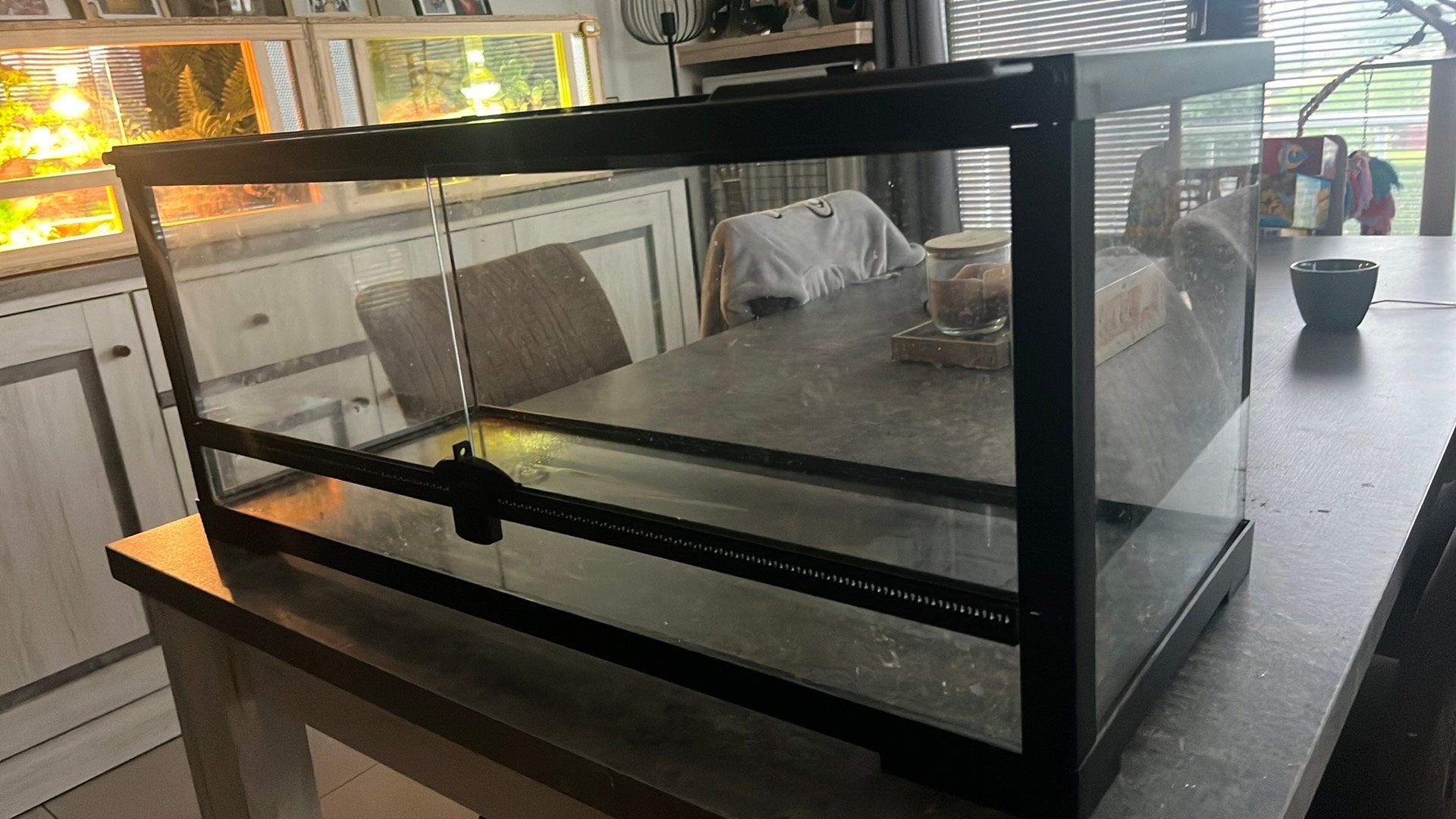 Terrarium à vendre, Enlèvement, Comme neuf