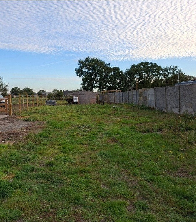 UNIEKE ZUIDGERICHTE BOUWGROND MET OPEN ZICHT – DESSEL, Immo, Dessel, Verkoop zonder makelaar, 200 tot 500 m²
