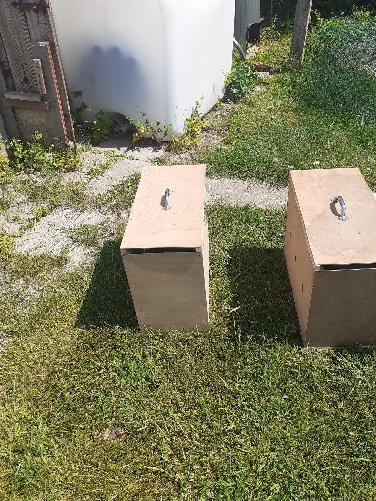 vervoerkoffers, Dieren en Toebehoren, Pluimvee, Gans of Zwaan