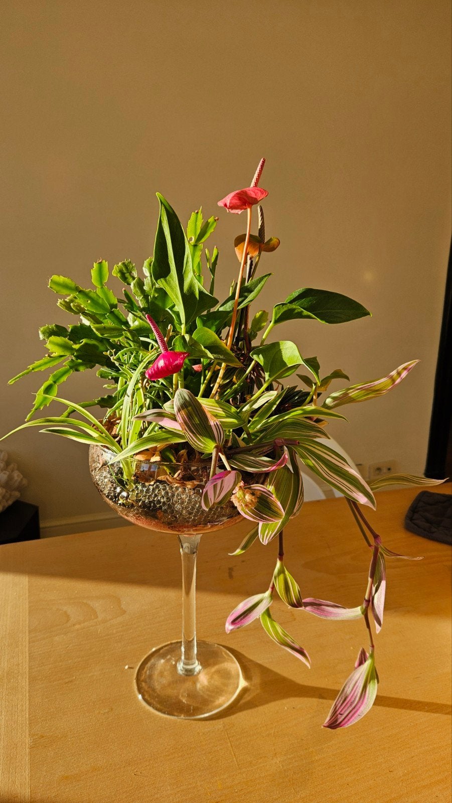 Mooie intacte colcktailglazen op slanke voet gevuld, Modern, Ophalen, Roze, Glas