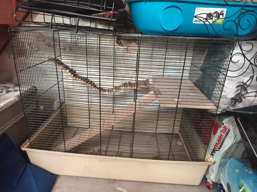 Cages oiseaux, hamsters, lézards ou serpents à vendre, Animaux & Accessoires, Enlèvement, Utilisé