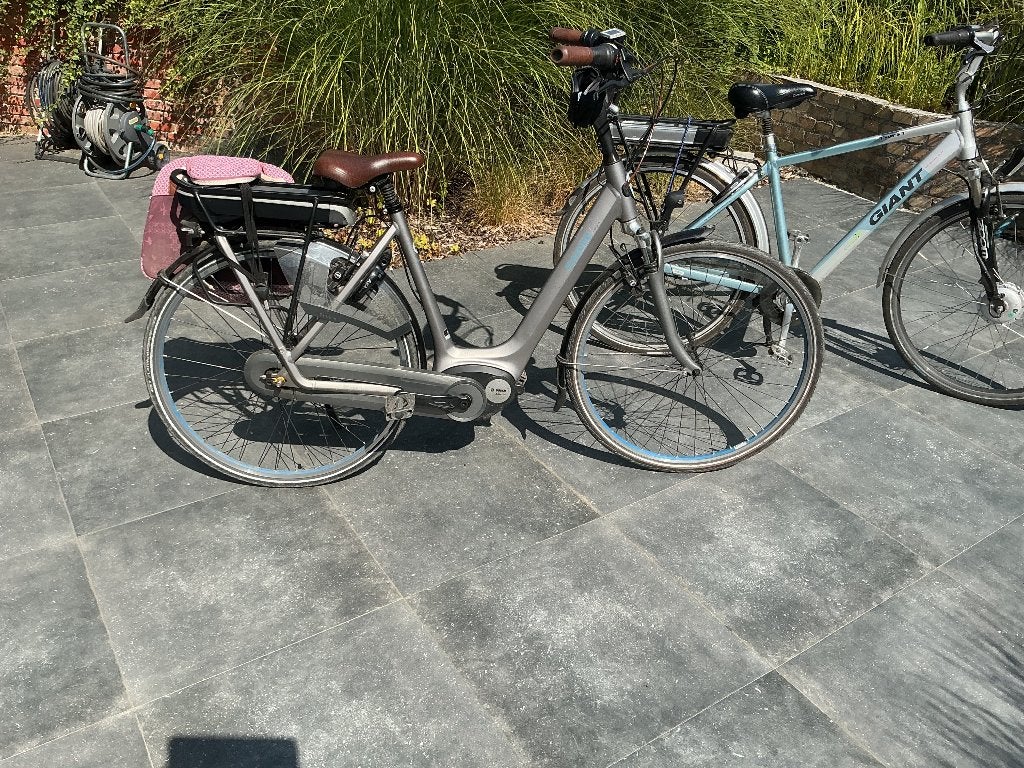 Gazelle e bike ,giant ebike, Ophalen, Gazelle
