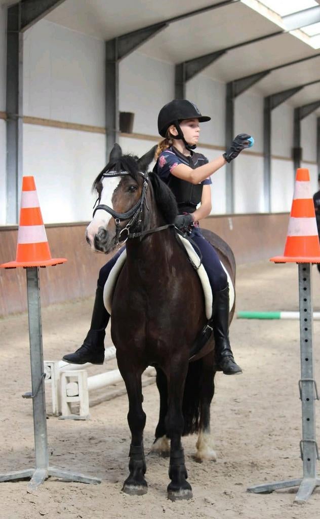 Halve stal aangeboden! ‼️Omgeving geel‼️, Dieren en Toebehoren, Ophalen
