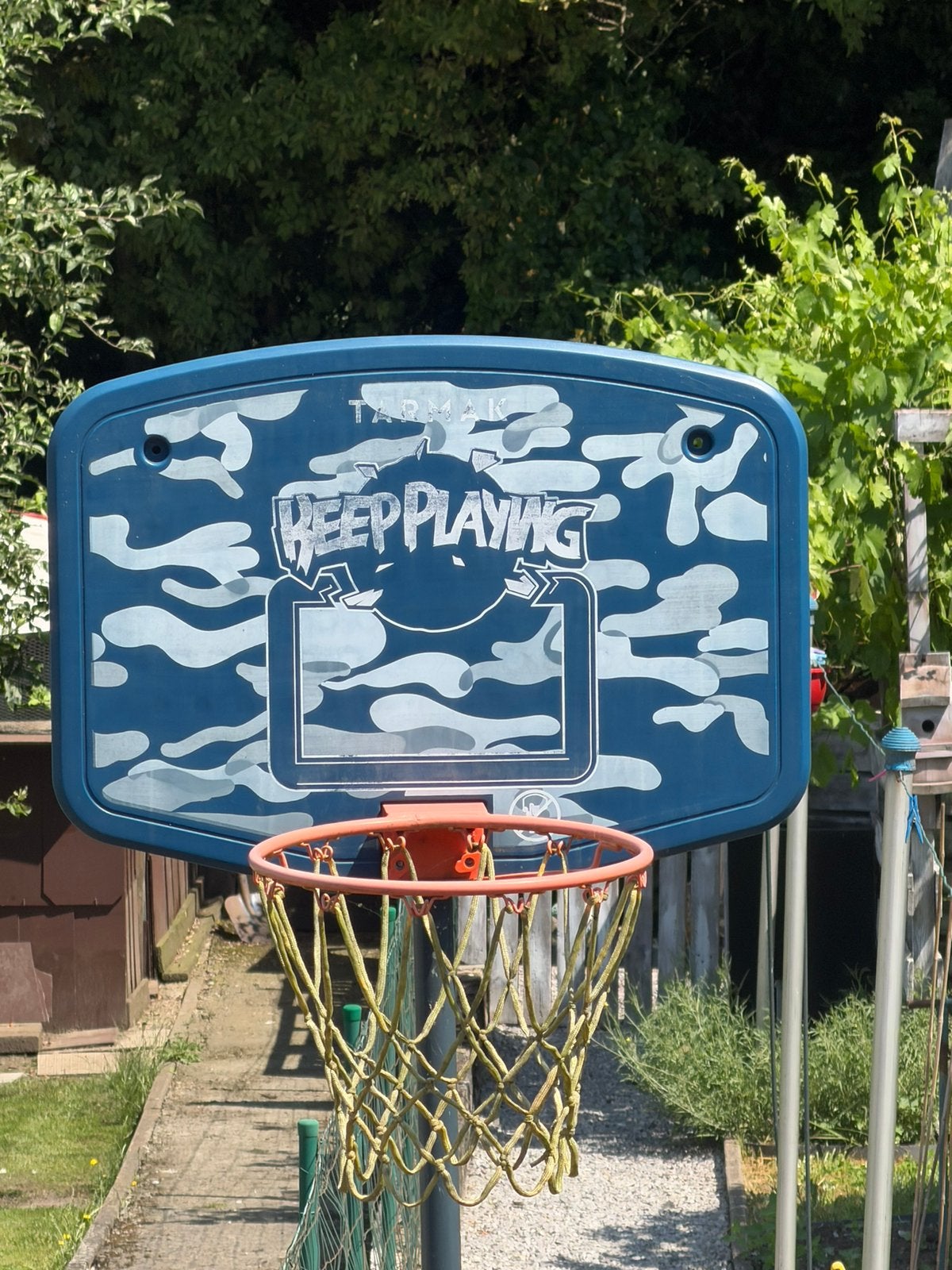 Basketbalring, Sport en Fitness, Ophalen, Gebruikt