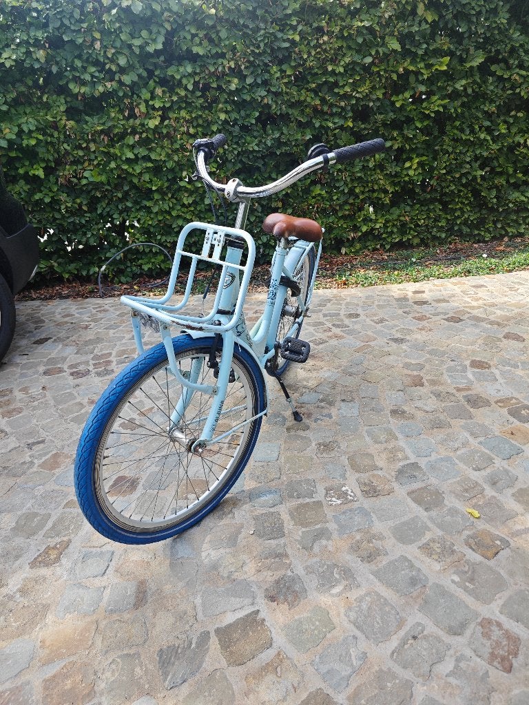 fiets, Fietsen en Brommers, Ophalen, Velgrem, Alpina, Versnellingen
