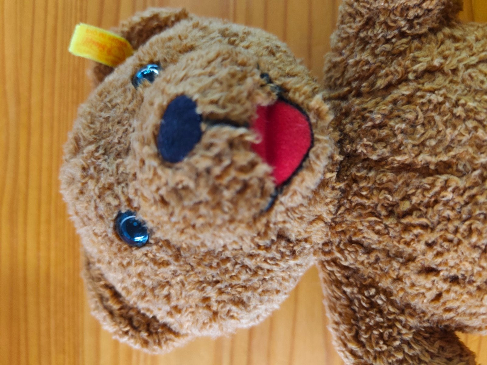 beertje Steiff, Collections, Enlèvement, Steiff