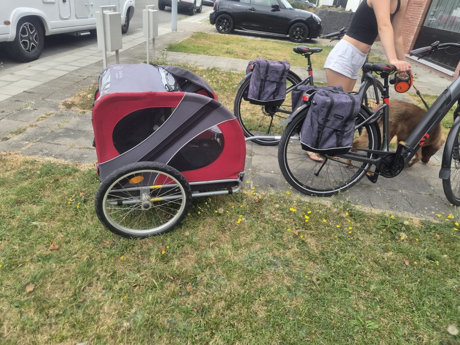 doggyride fietskar, Ophalen