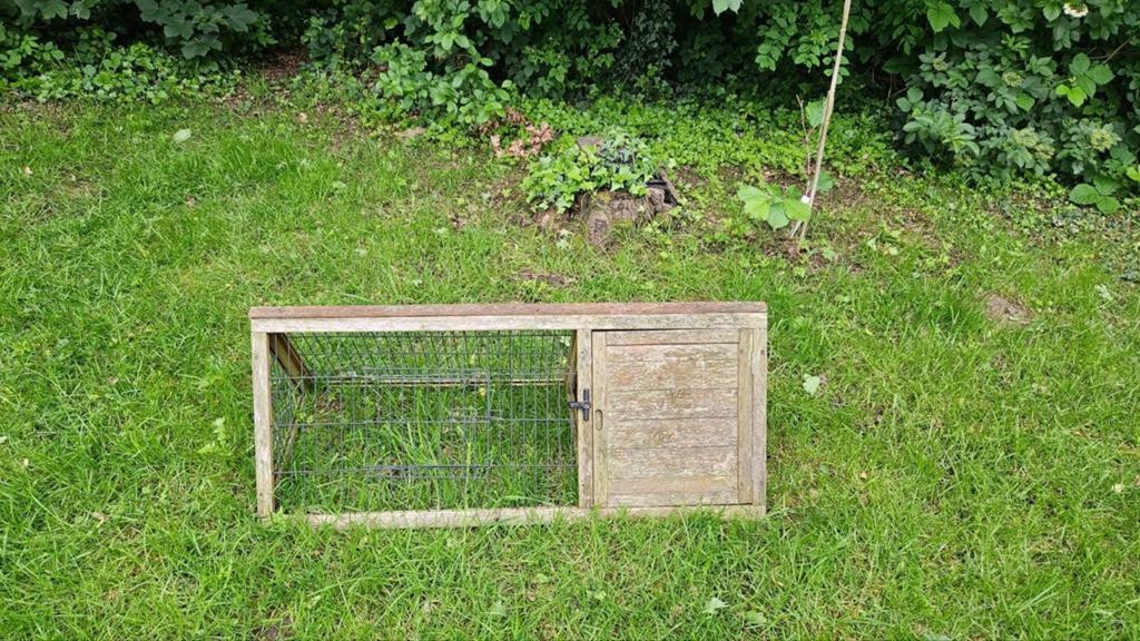Buitenren cavia of klein konijn, Dieren en Toebehoren, Ophalen, Ren, Konijn