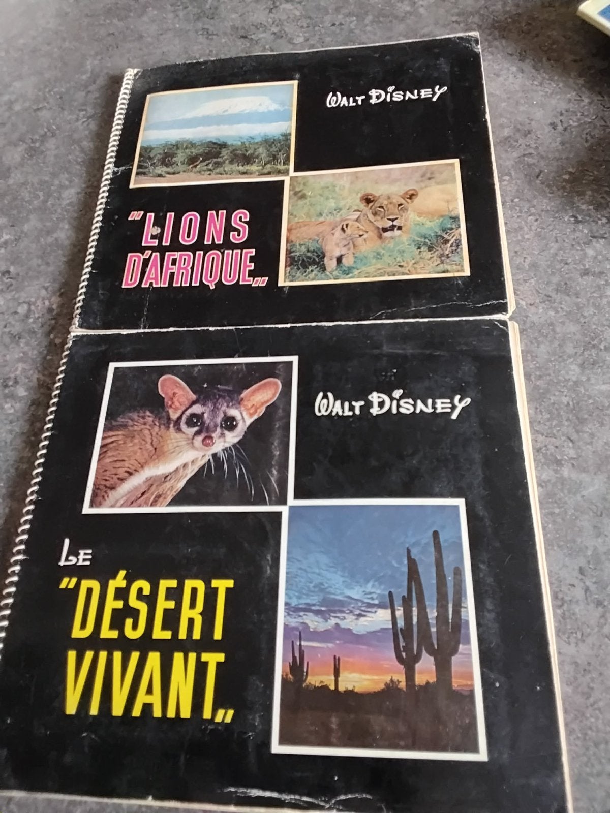 Albums anciens Walt Disney, Livres, Enlèvement ou Envoi, Comme neuf