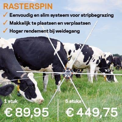 weideweide rasterspinnen 15 stuks, Dieren en Toebehoren, Weidegang