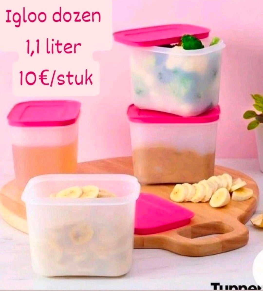 Boîtes à igloos Tupperware, Maison & Meubles, Enlèvement ou Envoi, Neuf