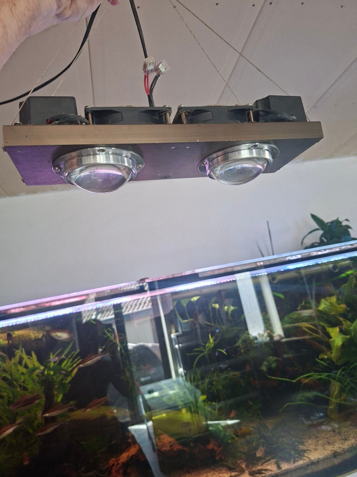 verlichting met ventilators ingebouwd, Dieren en Toebehoren, Ophalen, Verlichting