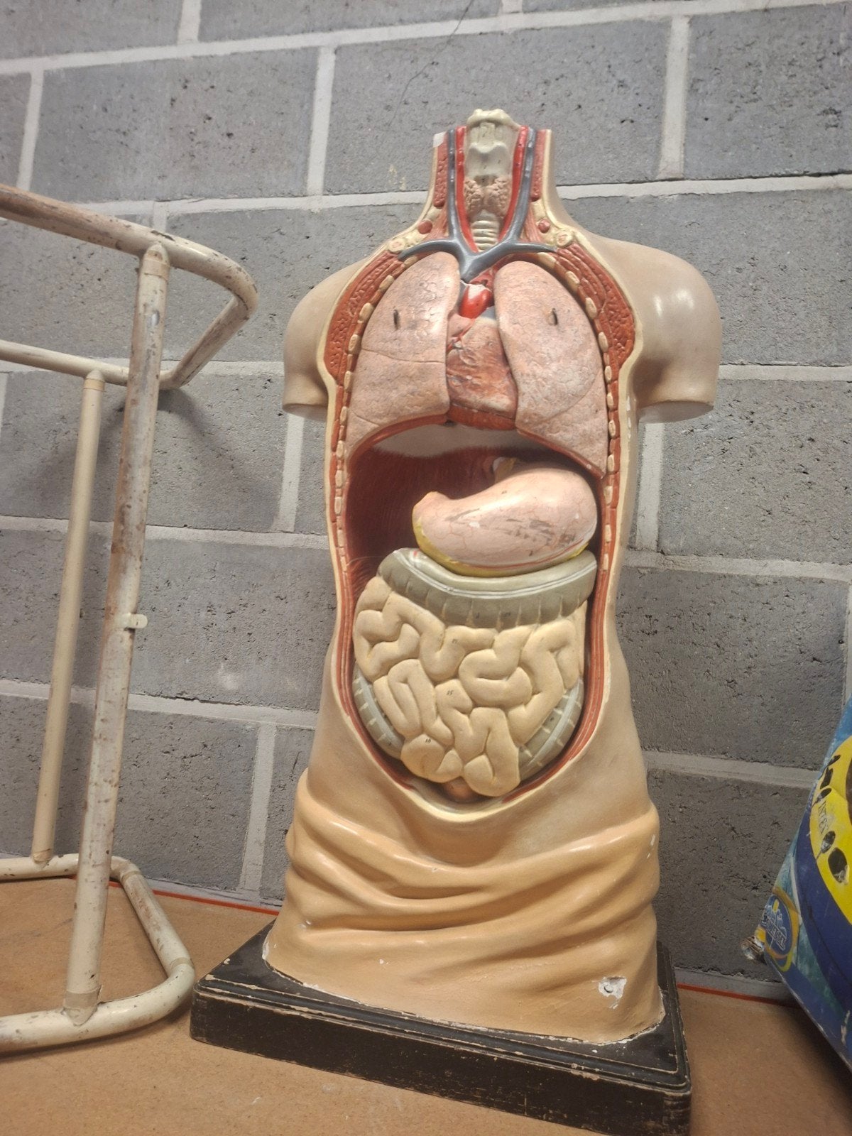 papier mache lichaam, Enlèvement