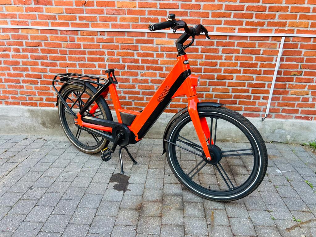 Elektrische Fiets Ostrichod, Fietsen en Brommers, Ophalen, Zo goed als nieuw